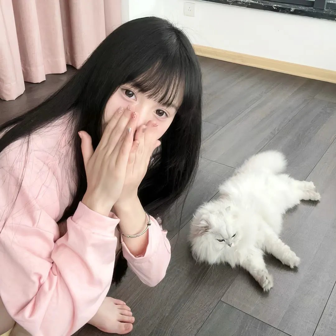 酋长之子塔赞